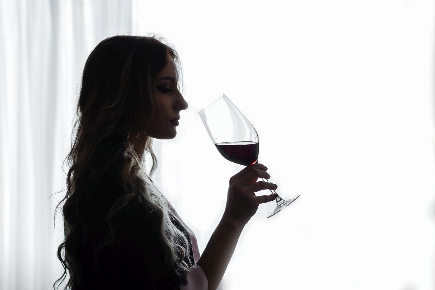 MSc Wine & Spirits Management
